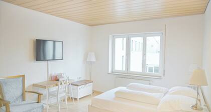 F10 APARTMENT Ulm ECONOMY • Wohnung im Herzen von Ulm