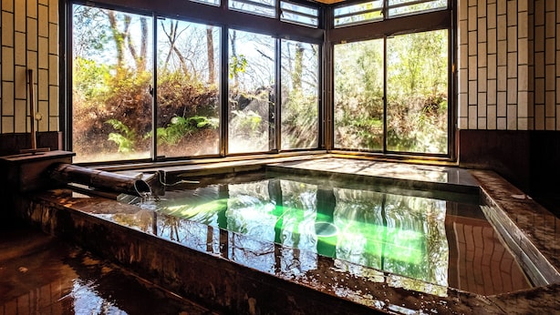 Unclassified image, 1 of 47, button - Hotel Kasansui (Hakone)