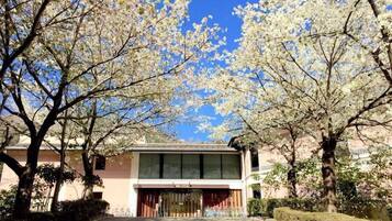 Ein Gebäude mit einer großen Glasfassade, umgeben von Bäumen mit weißen Blüten, und einem strahlend blauen Himmel.