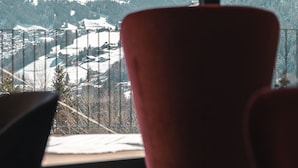 A room with a large window offering a view of snow-covered mountains and a valley.