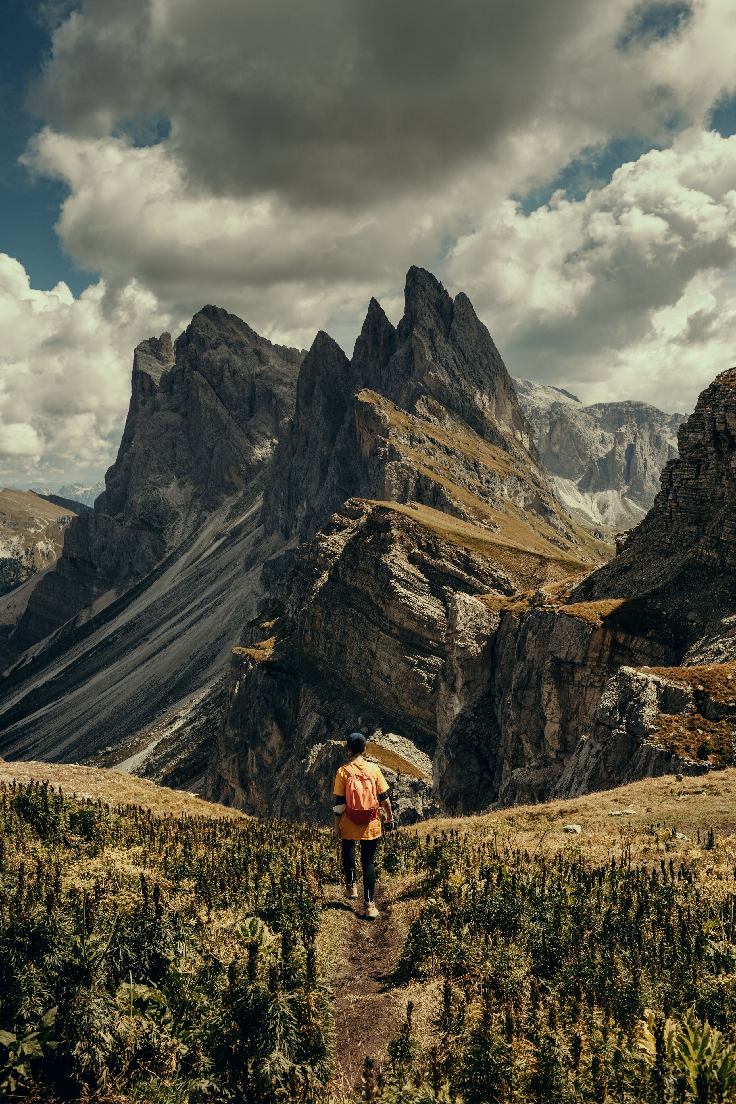 Foto - La Cort My Dollhouse - Adults Only