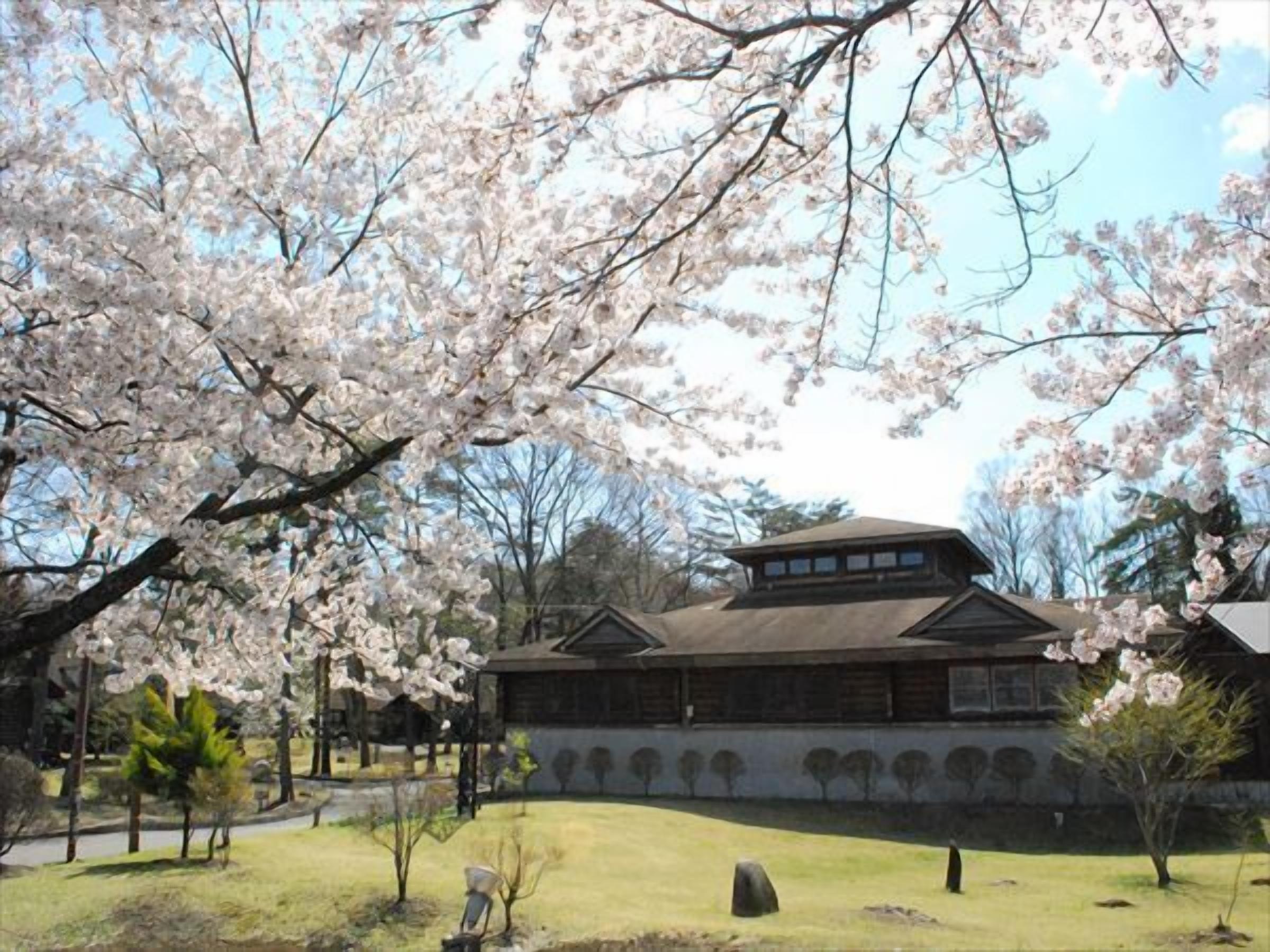 숙박 시설 구내