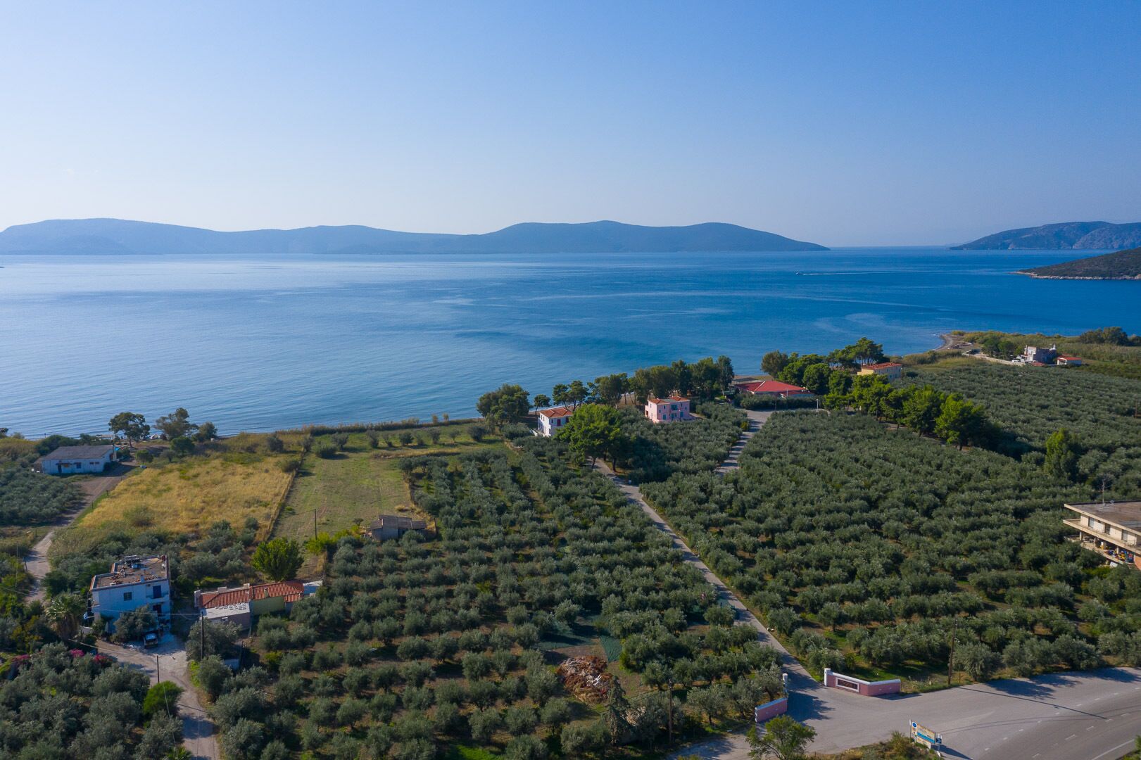 An aerial view of a coastal area with olive groves, a few buildings, and a large body of water in the background.