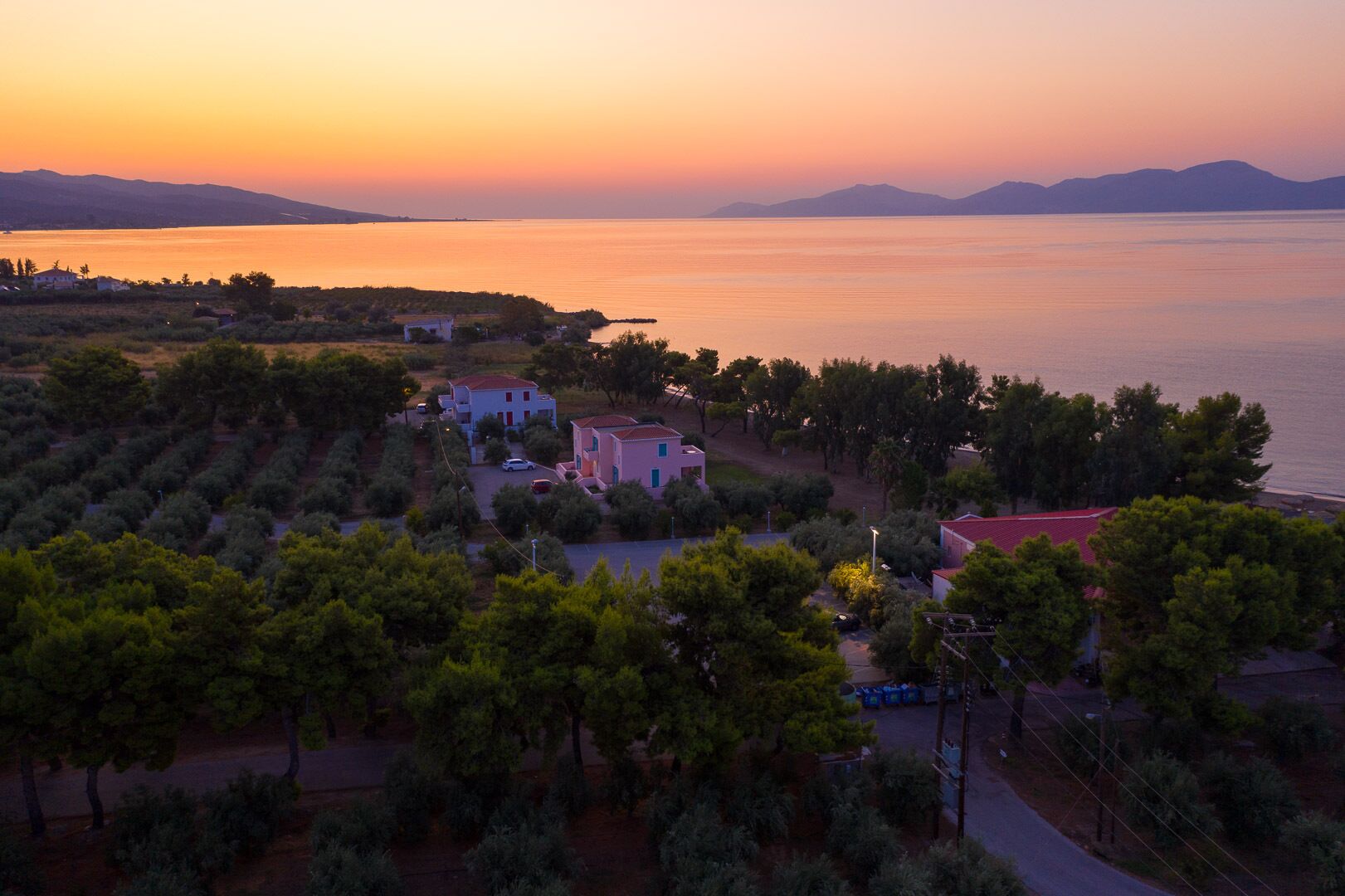 A coastal village with houses surrounded by trees, a road, and a body of water.