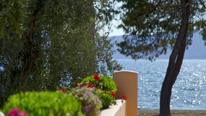 A coastal view with a garden in the foreground and a tree to the right. - Makis Inn Resort (Ermionida)