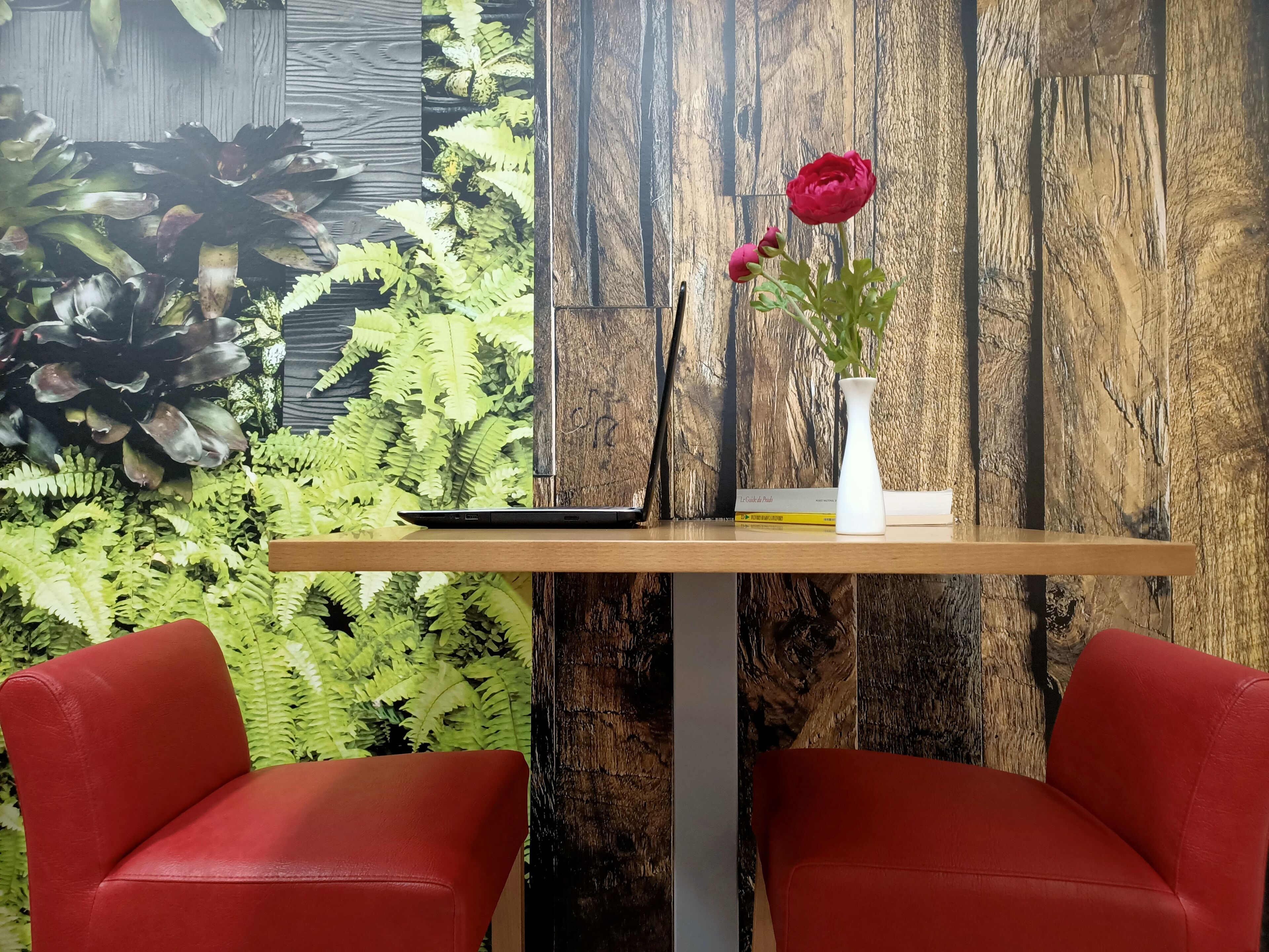 Foto - Hostal Royal Cruz