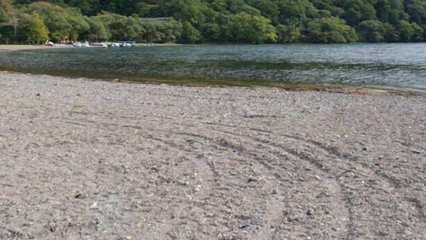Una playa con costa rocosa y una colina boscosa al fondo.