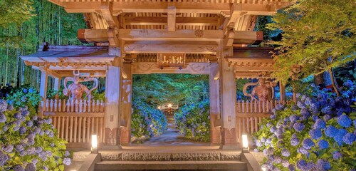 Ryokan OGA Onsen Seiko Grand Hotel