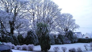 A residential area with snow-covered trees and a car parked in the driveway. - Mountain View Guesthouse (Oughterard)