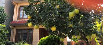 Kantipur Temple Homestay