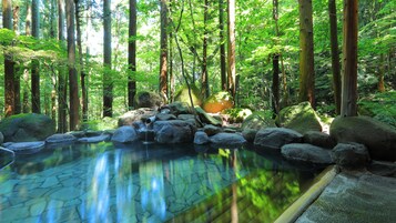 A tranquil forest scene with a clear water feature surrounded by rocks and trees.