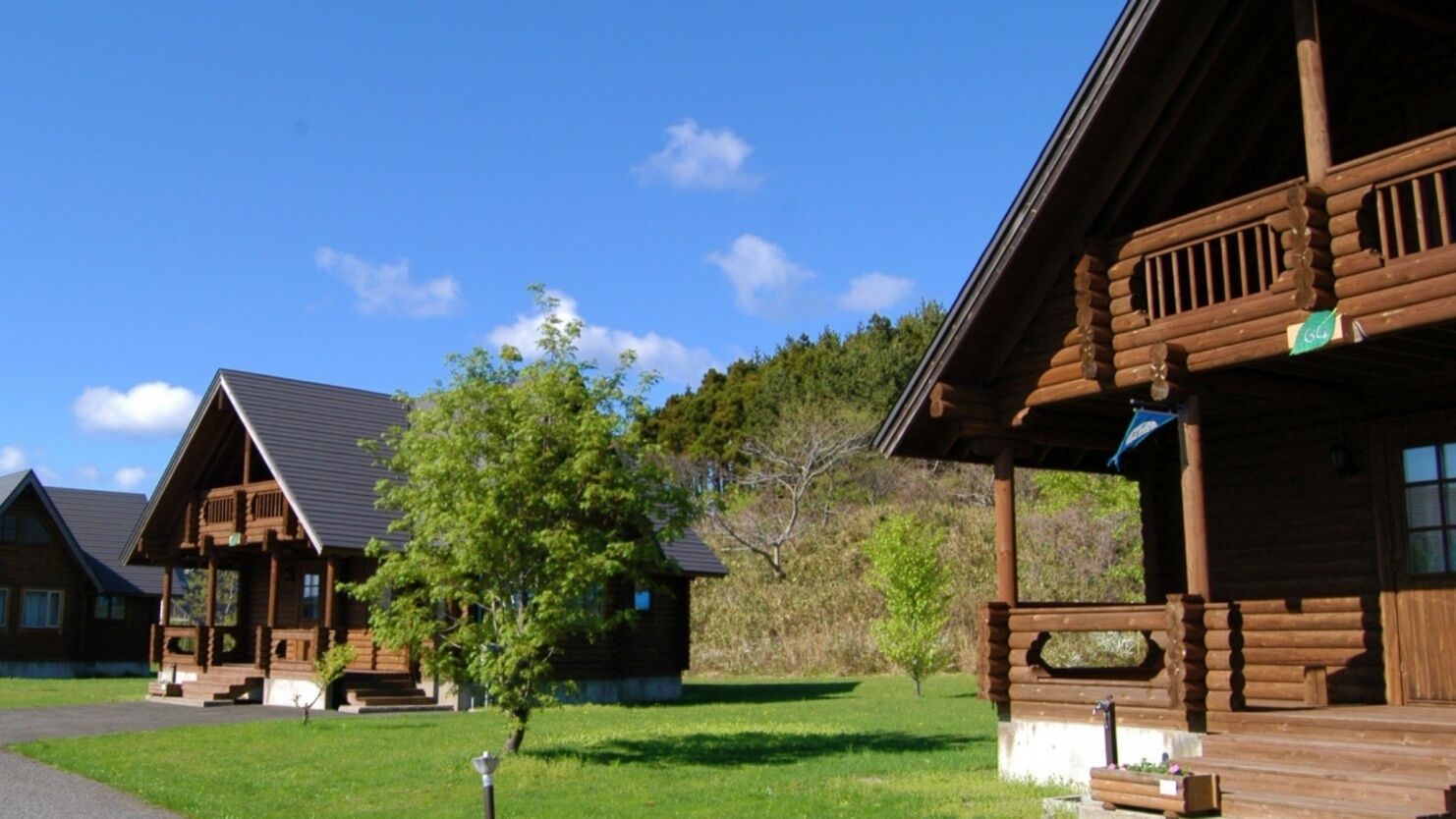 Un chalet en bois avec une véranda et un petit arbre devant.