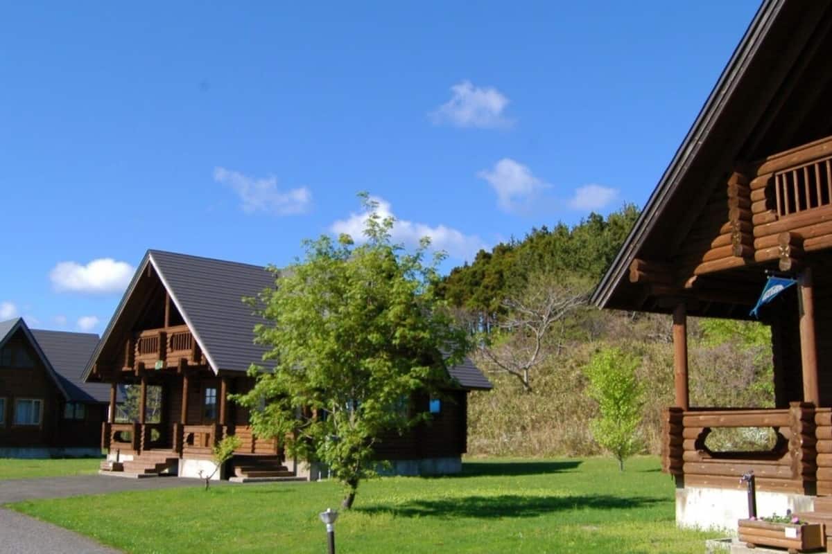 Un chalet en bois avec une véranda et un petit arbre devant.