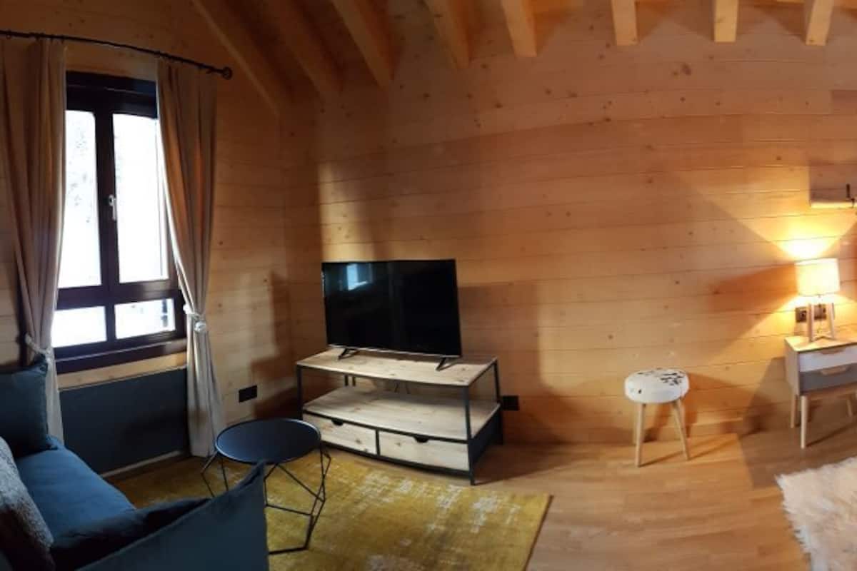 Acogedora habitación tipo cabaña de madera con una cama, un sofá, un televisor y una pequeña mesa.
