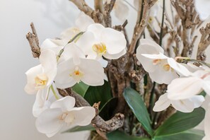 Orquídeas blancas con centros amarillos en una rama de árbol.