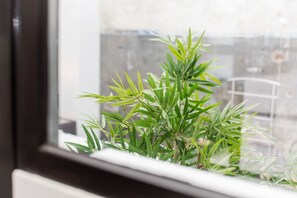 1 bilik tidur, seterika/papan seterika, katil bayi/kot (percuma)