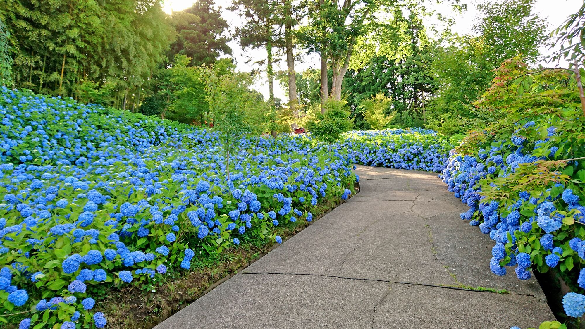 المنطقة المحيطة بالمنشأة