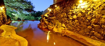 Oga Onsen Yukemuri Resort Oga Kanko Hotel