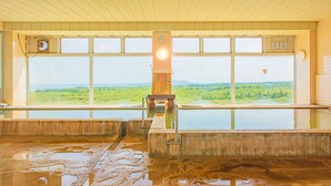A large indoor pool with a view of a forested landscape through large windows.