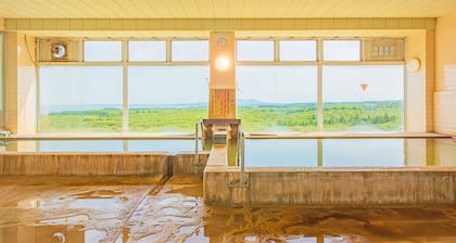Oga Onsen Yukemuri Resort Oga Kanko Hotel