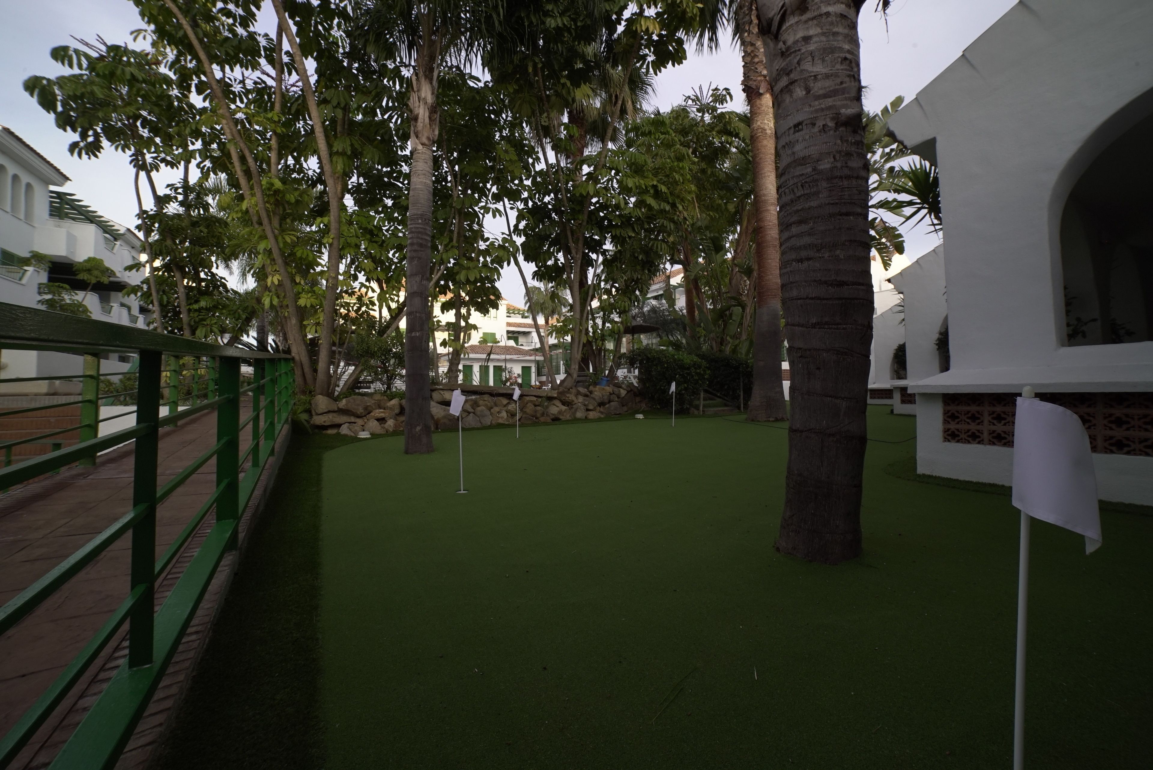 A green artificial grass area with a green metal fence, palm trees, and a white building with a stone wall in the background.