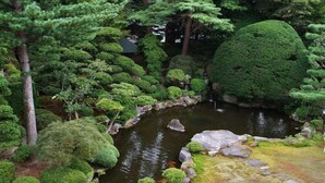 Um jardim japonês tradicional com lago, pedras e árvores de formas variadas.