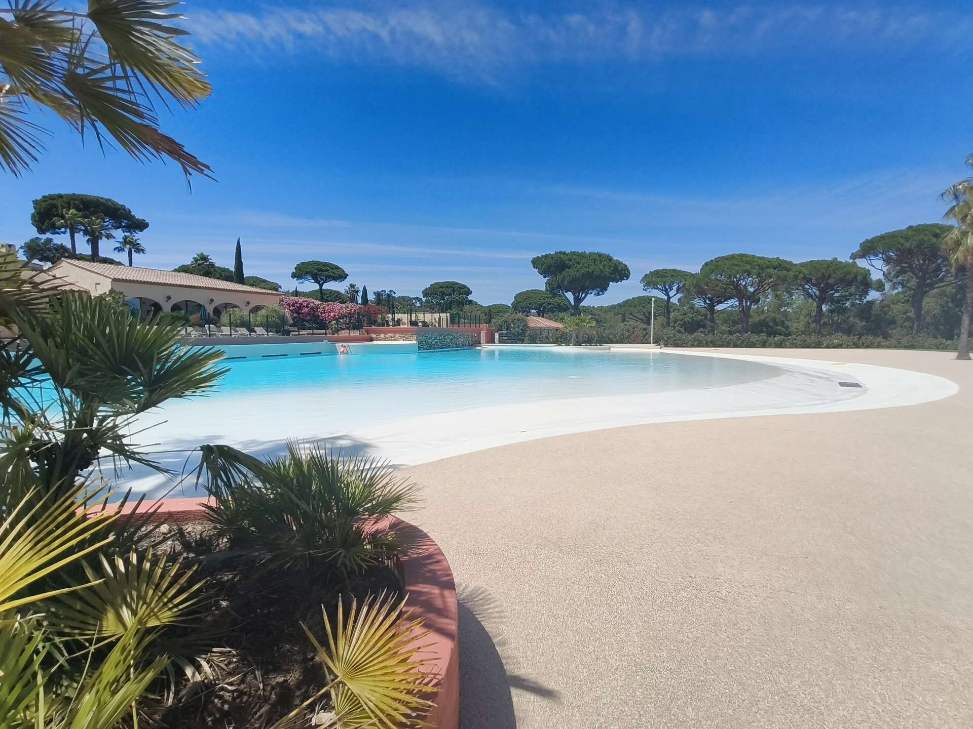Una gran piscina al aire libre rodeada de palmeras y un cielo azul despejado.
