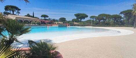 A large outdoor swimming pool surrounded by palm trees and a clear blue sky.