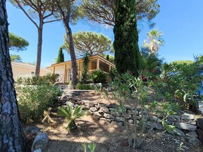 A garden with a stone pathway leading to a wooden building, surrounded by various plants and trees.