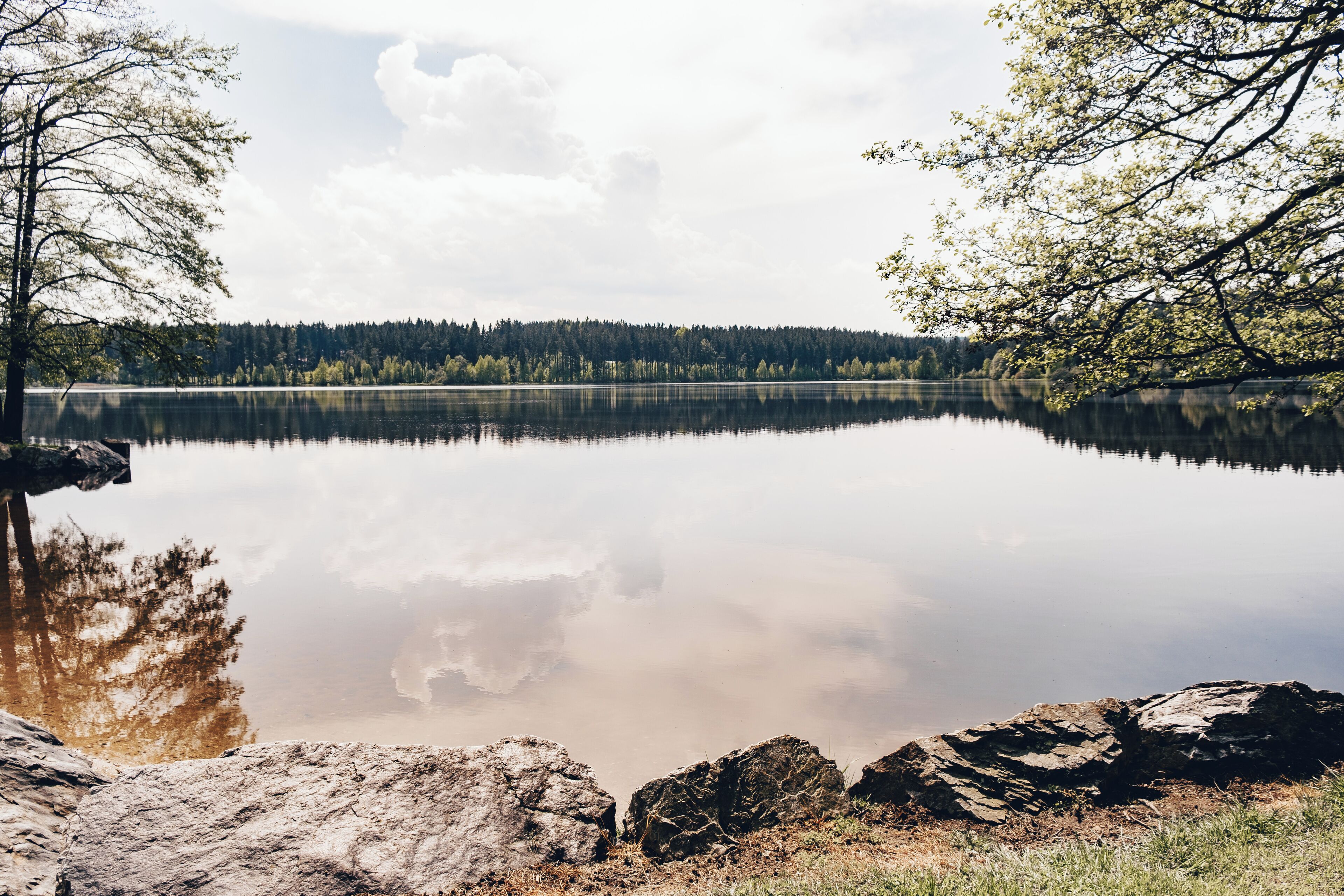 Un lac paisible, bordé d’une forêt, sous un ciel dégagé.