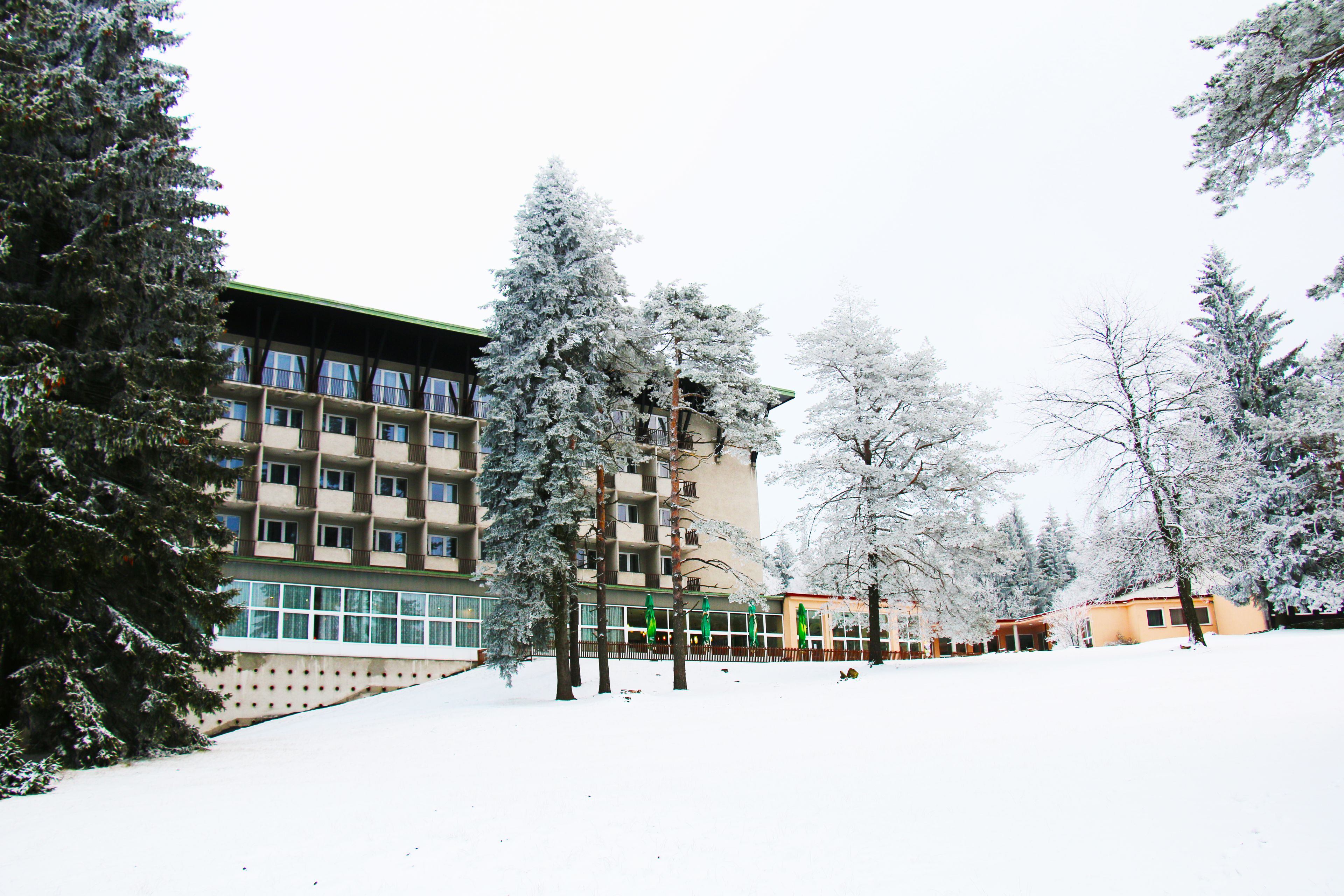Ein mehrgeschossiges Gebäude mit flachem Dach und großen Fenstern.