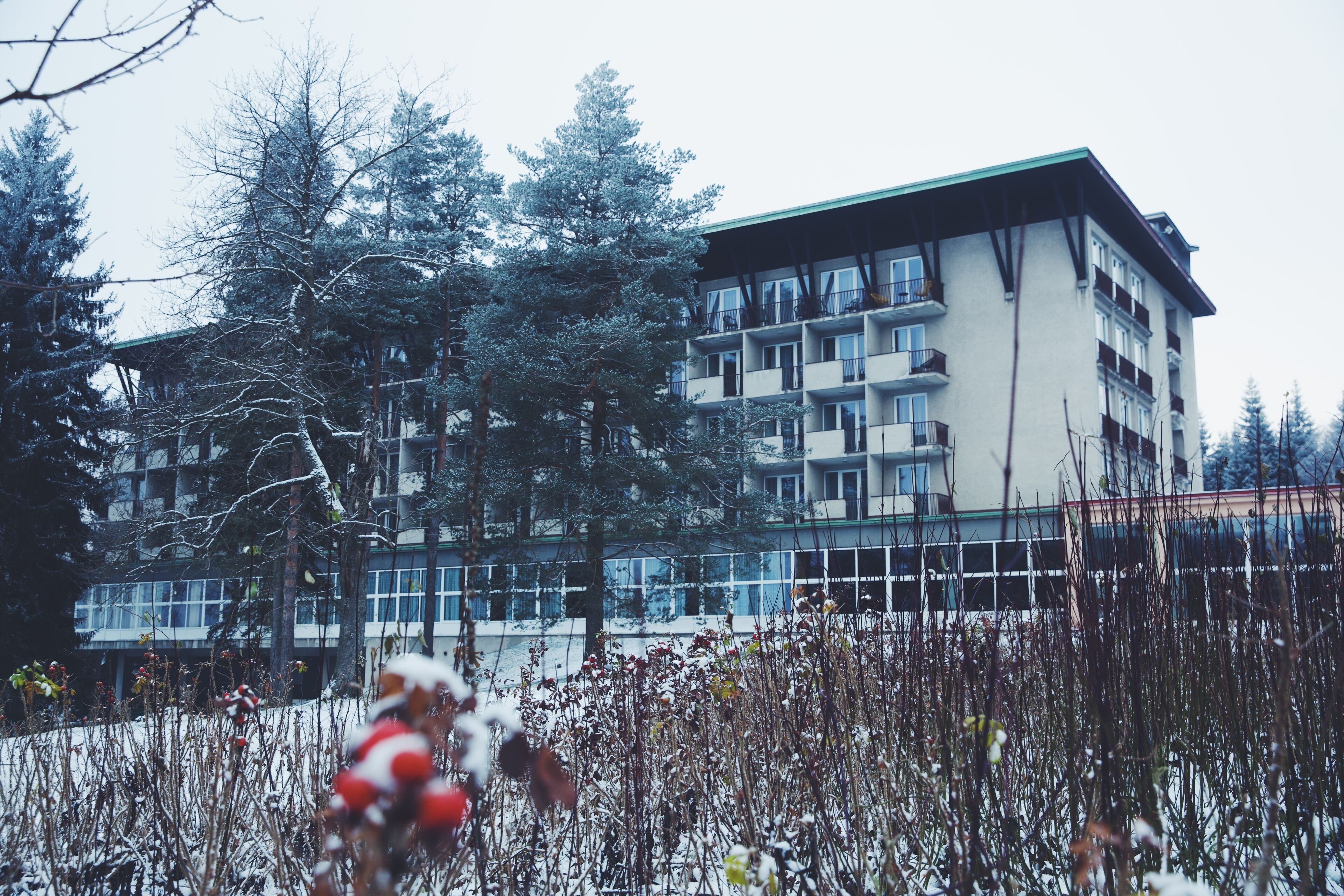 A multi-story building with balconies, surrounded by trees and snow-covered ground.