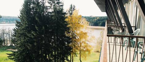 A balcony with a view of a forest and a lake.
