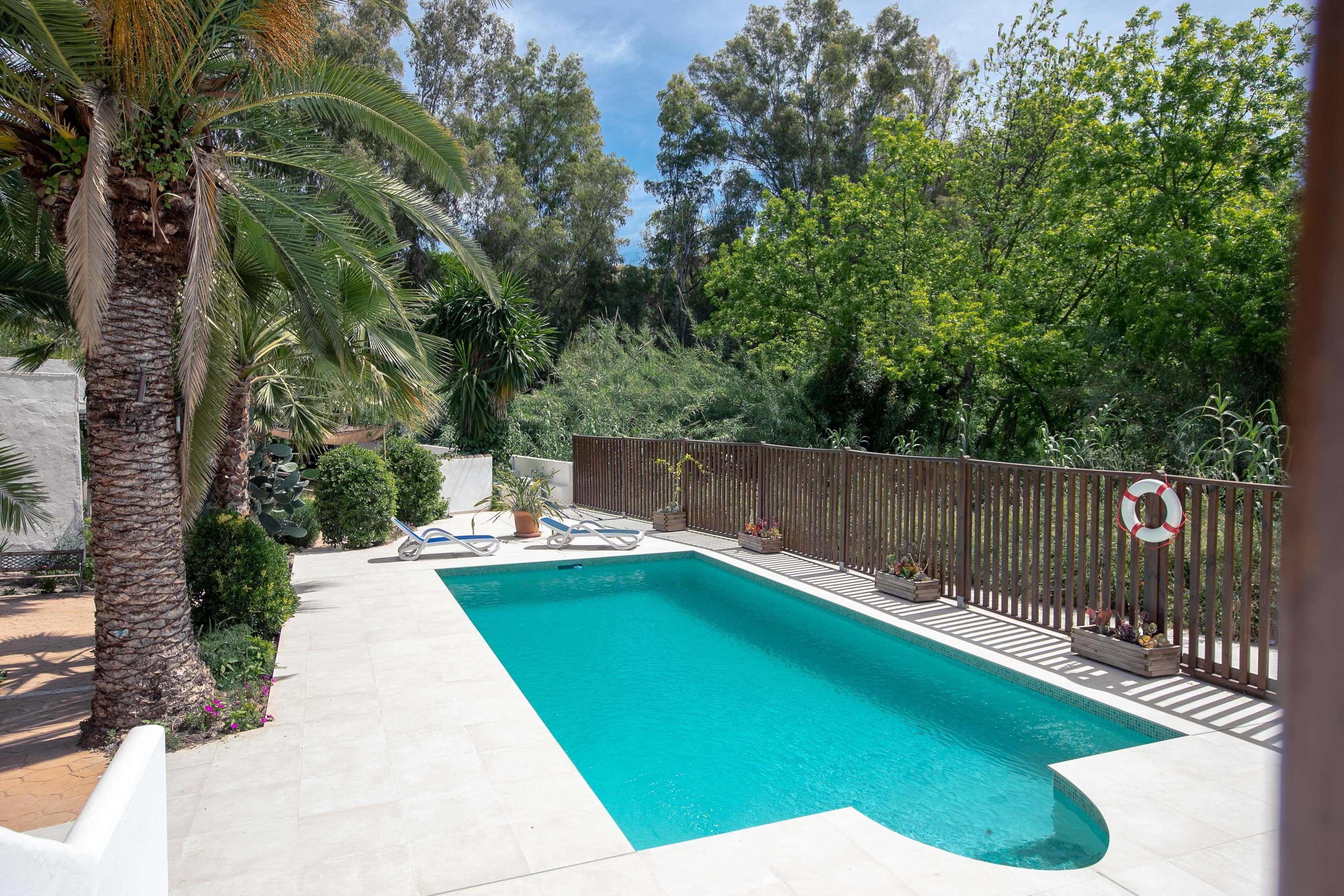 Outdoor pool, pool loungers