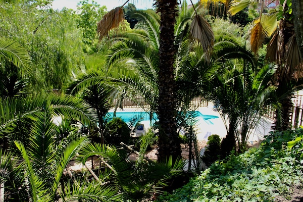 Taman