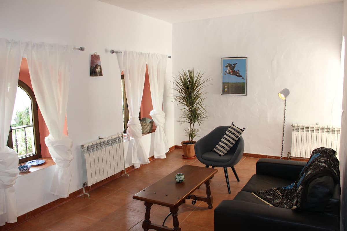 A living room with a sofa, a chair, a table, a potted plant, and a radiator.