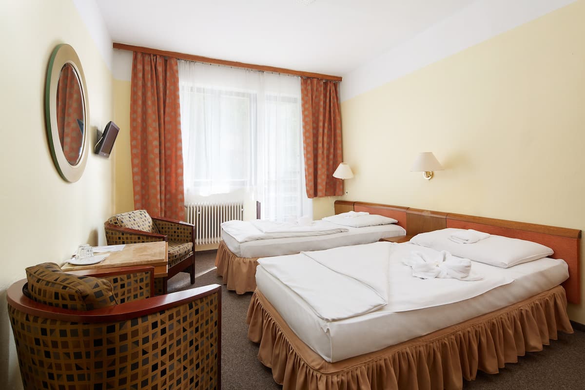 Standard Twin Room, 1 Bedroom, Park View, Annex Building