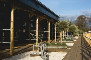 Family Room, Private Bathroom | View from room