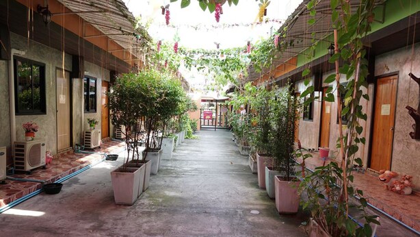 A narrow corridor with potted plants on either side, leading to a central area with a door. - White Square Rayong (Rayong)