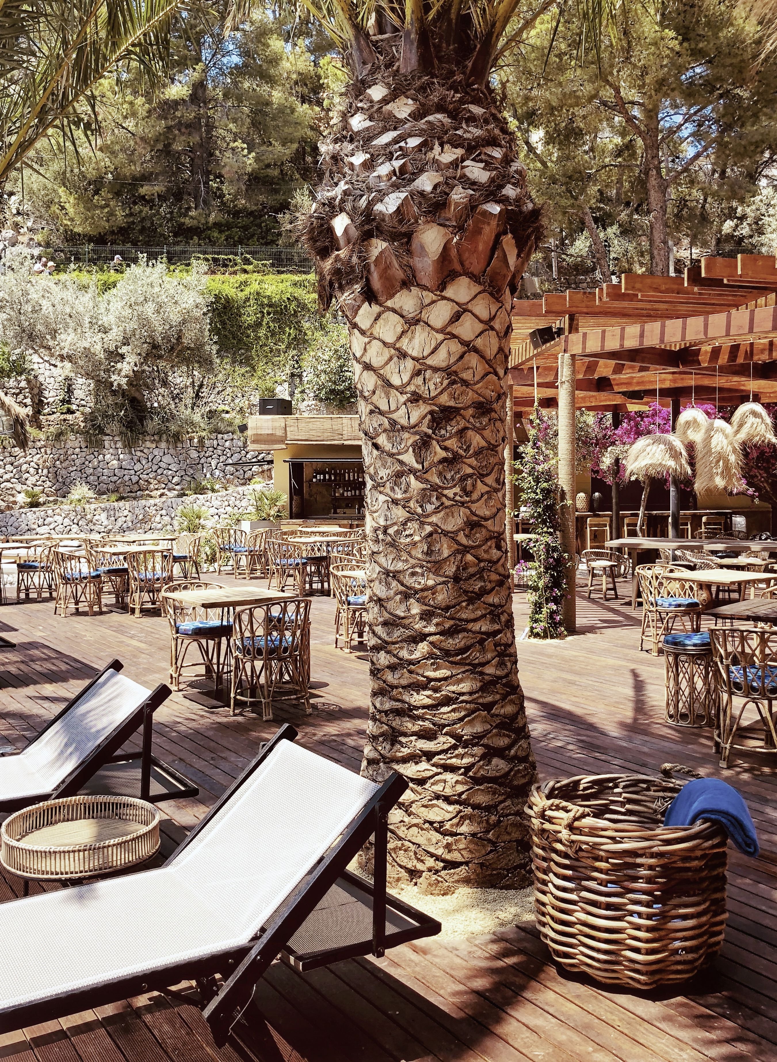 Une terrasse en bois avec des chaises longues, un palmier, des meubles en osier et un mur en pierre.