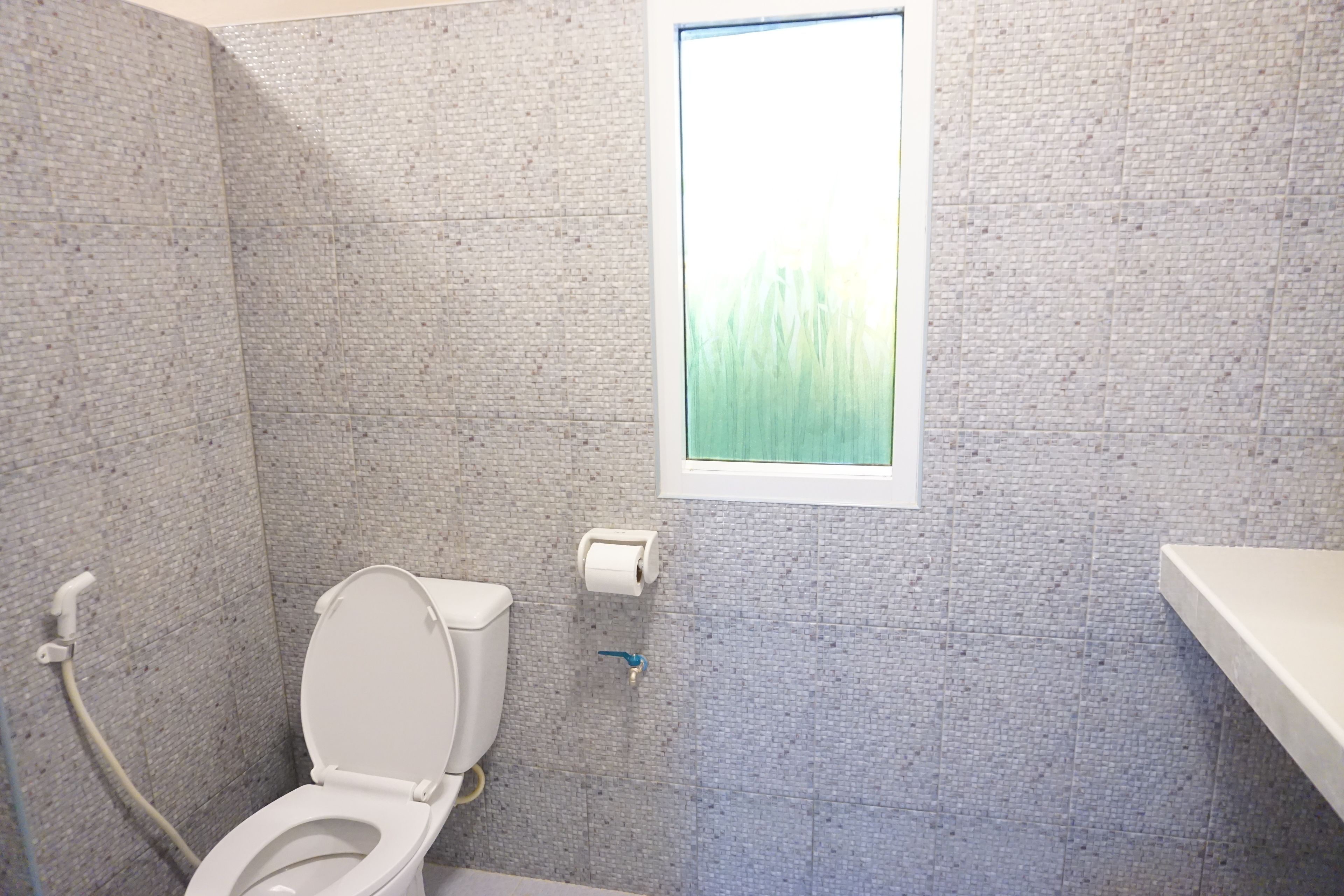 A bathroom with a toilet, a window with a view of grass, and a shower area.