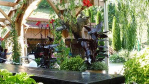Un jardín con una pérgola de madera, plantas diversas y un banco de piedra.