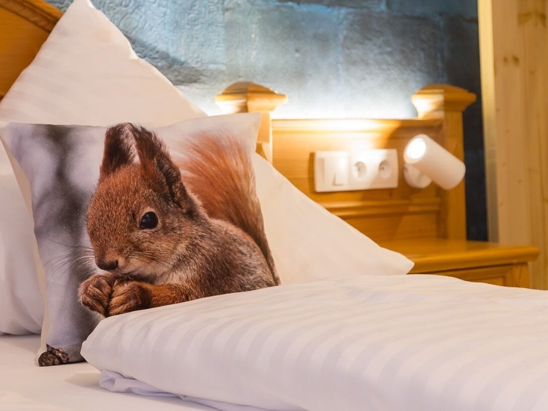 suite, ensuite | view from property