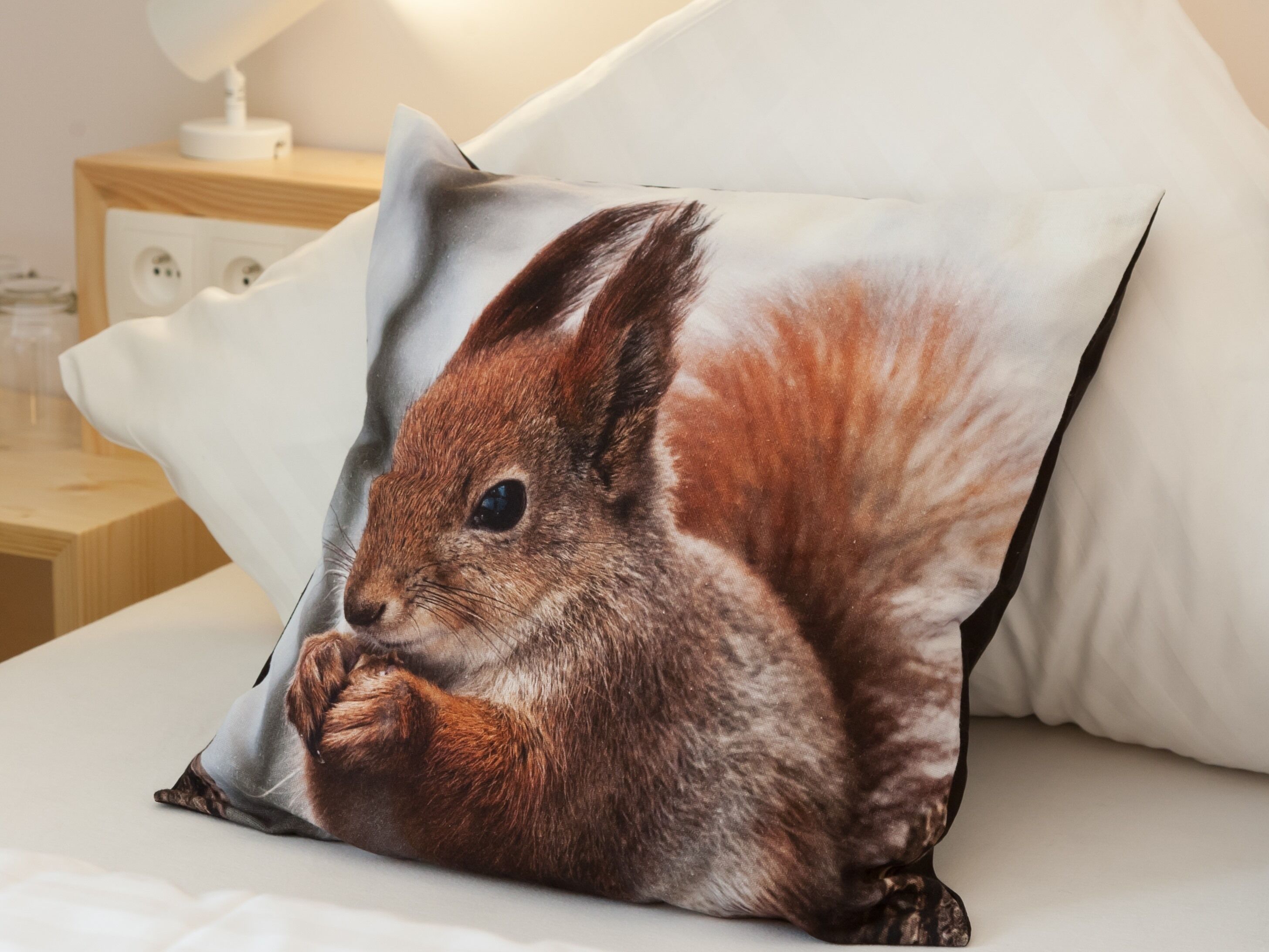 standard single room, ensuite, mountain view