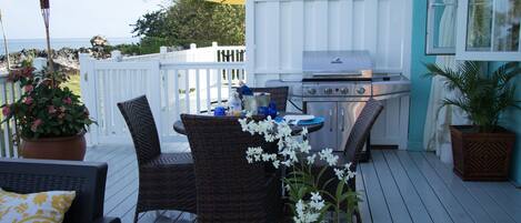 Una terrazza esterna con mobili in vimini, un barbecue e piante in vaso.