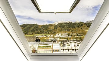 Apartment, 3 Bedrooms, Accessible | View from room