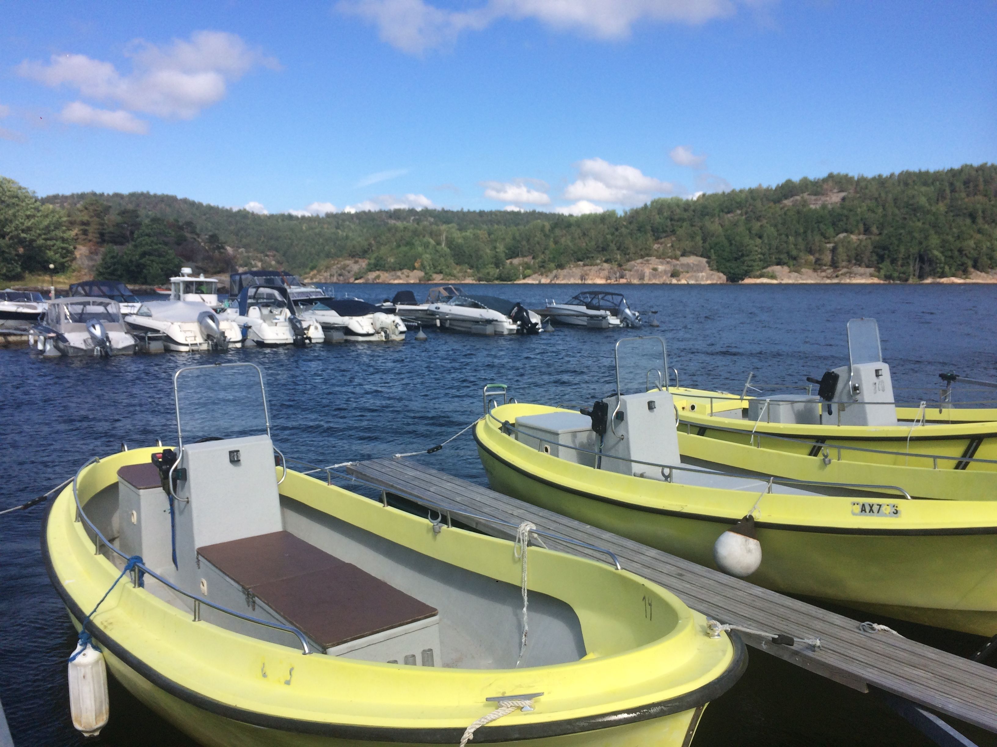 A marina with several yellow boats docked.