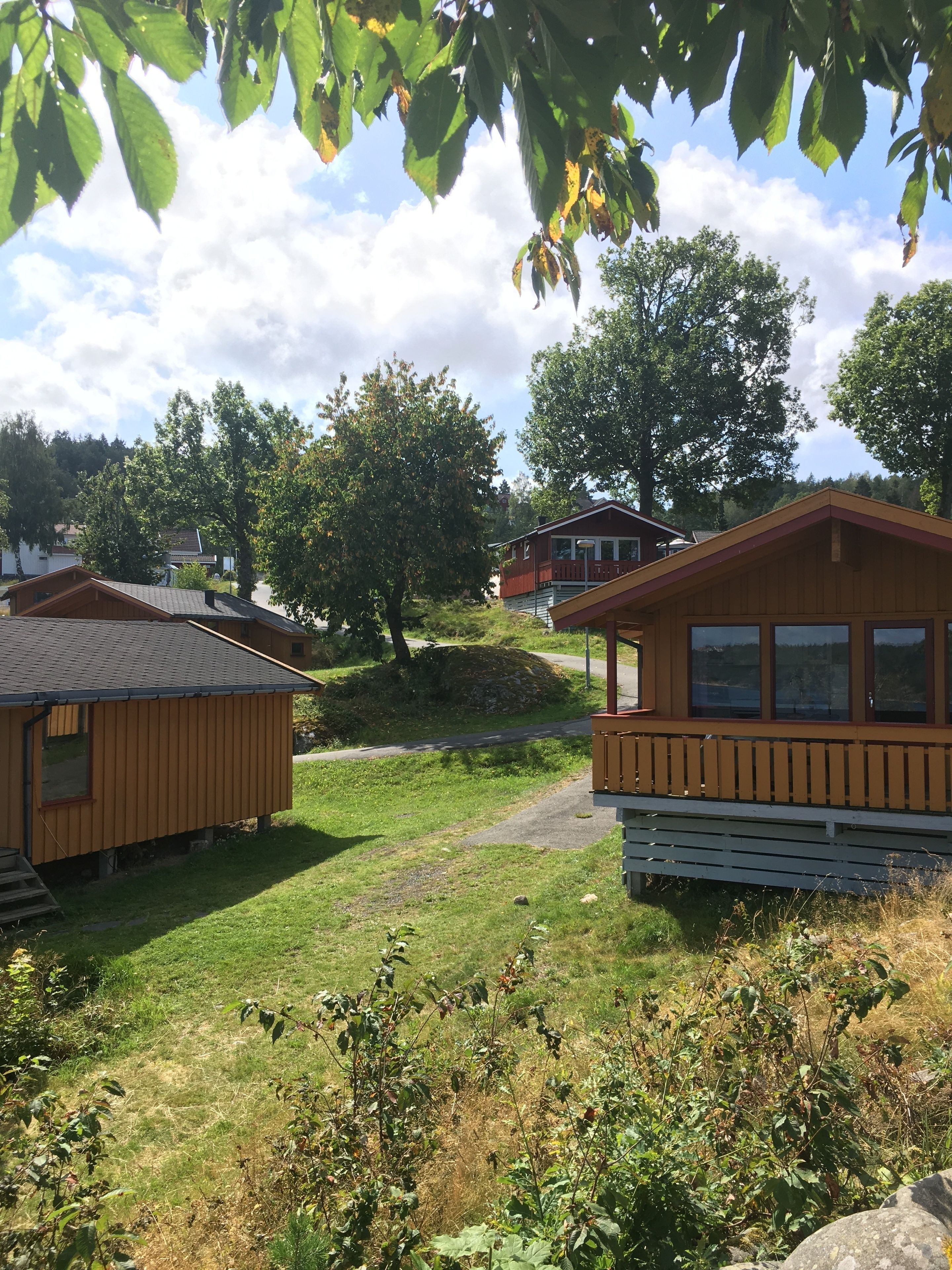 Une cabane en bois dotée d’un balcon, entourée d’une zone herbeuse et d’arbres.