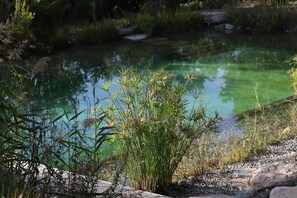 Outdoor pool, a natural pool, open open 24 hours a day, pool umbrellas