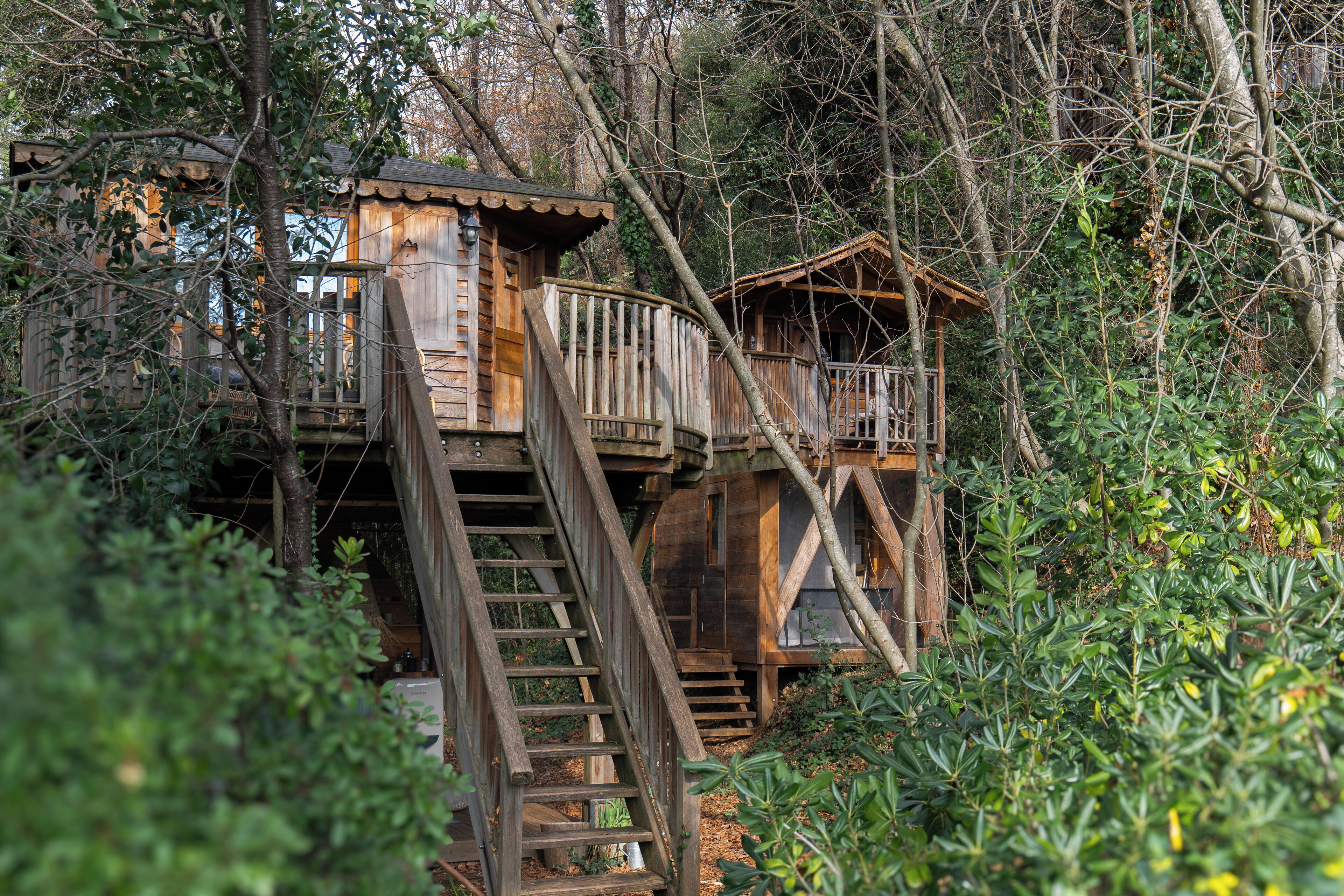 ファミリー ツリーハウス 2 ベッドルーム (King Louie & Mowgli) | テラス / パティオ